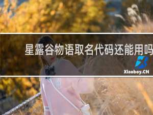 星露谷物语取名代码还能用吗