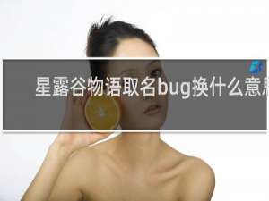 星露谷物语取名bug换什么意思