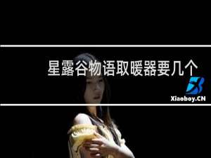 星露谷物语取暖器要几个