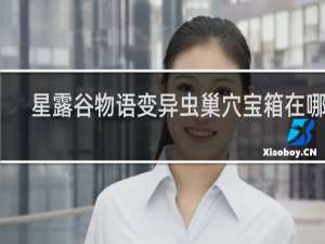 星露谷物语变异虫巢穴宝箱在哪儿