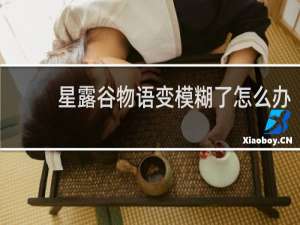 星露谷物语变模糊了怎么办