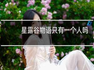 星露谷物语只有一个人吗