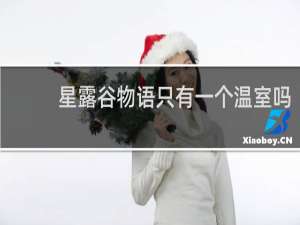 星露谷物语只有一个温室吗