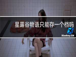 星露谷物语只能存一个档吗