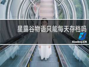 星露谷物语只能每天存档吗