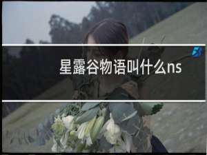 星露谷物语叫什么ns