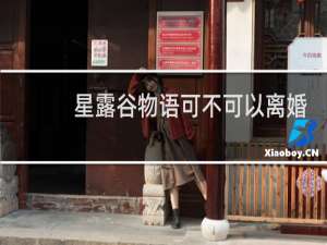 星露谷物语可不可以离婚