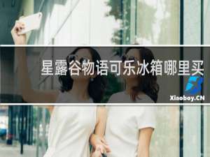 星露谷物语可乐冰箱哪里买