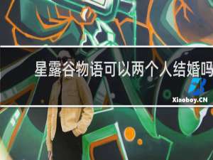 星露谷物语可以两个人结婚吗