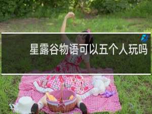 星露谷物语可以五个人玩吗