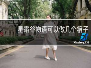 星露谷物语可以做几个箱子