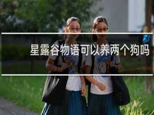 星露谷物语可以养两个狗吗