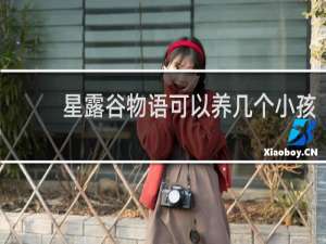 星露谷物语可以养几个小孩