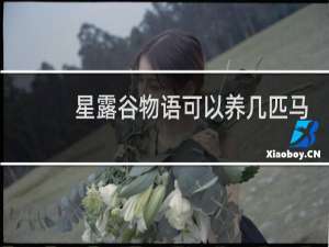 星露谷物语可以养几匹马