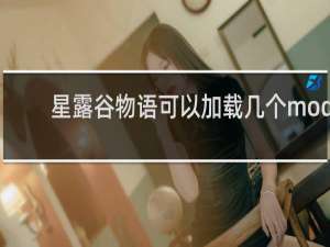 星露谷物语可以加载几个mod