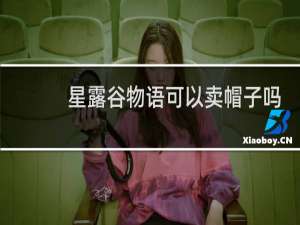 星露谷物语可以卖帽子吗