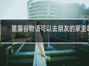 星露谷物语可以去朋友的家里吗