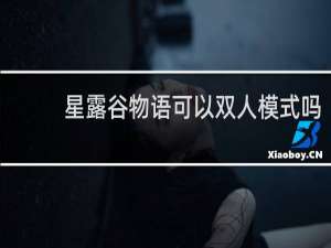 星露谷物语可以双人模式吗