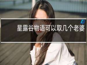 星露谷物语可以取几个老婆