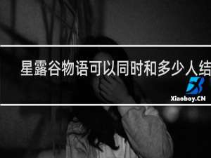 星露谷物语可以同时和多少人结婚