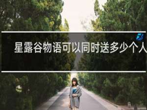 星露谷物语可以同时送多少个人花