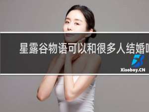 星露谷物语可以和很多人结婚吗