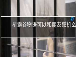 星露谷物语可以和朋友联机么