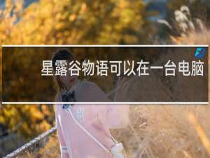 星露谷物语可以在一台电脑