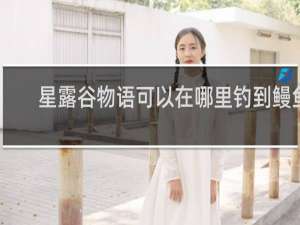 星露谷物语可以在哪里钓到鳗鱼