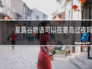 星露谷物语可以在姜岛过夜吗