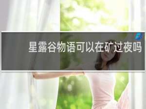 星露谷物语可以在矿过夜吗