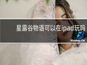星露谷物语可以在ipad玩吗