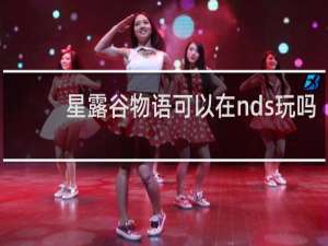 星露谷物语可以在nds玩吗
