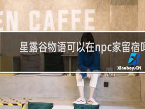 星露谷物语可以在npc家留宿吗