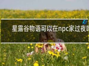 星露谷物语可以在npc家过夜吗