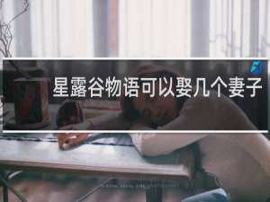 星露谷物语可以娶几个妻子