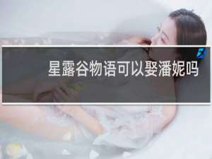 星露谷物语可以娶潘妮吗