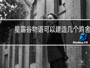 星露谷物语可以建造几个鸡舍