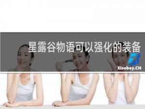 星露谷物语可以强化的装备