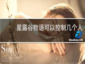 星露谷物语可以控制几个人