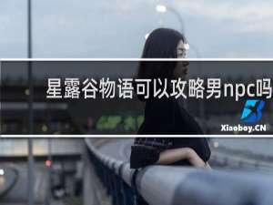 星露谷物语可以攻略男npc吗