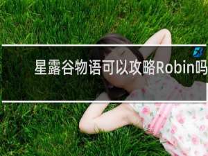 星露谷物语可以攻略Robin吗