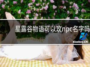 星露谷物语可以攻npc名字吗