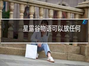 星露谷物语可以放任何