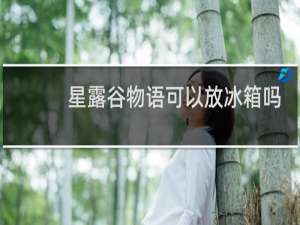 星露谷物语可以放冰箱吗