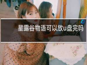 星露谷物语可以放u盘完吗