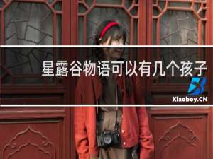 星露谷物语可以有几个孩子