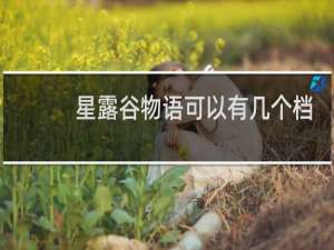 星露谷物语可以有几个档