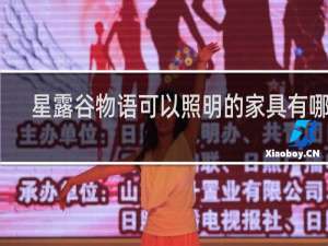 星露谷物语可以照明的家具有哪些