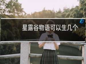 星露谷物语可以生几个